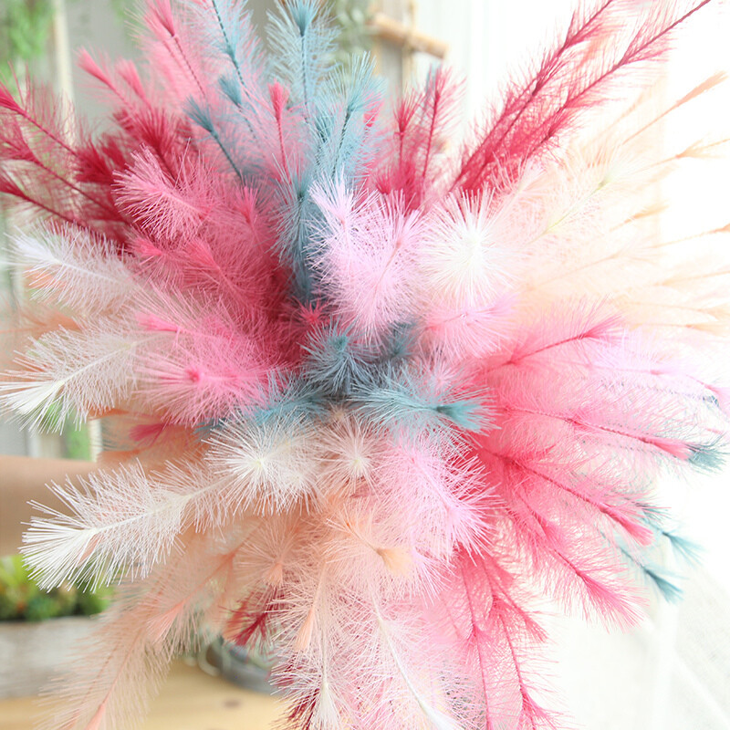 Sweet New Hairy Grass