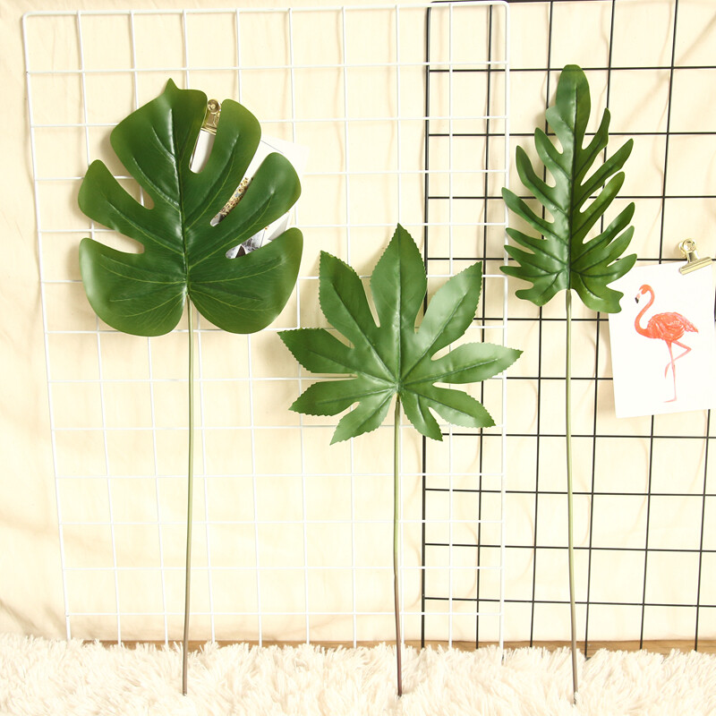 Turtle Leaf