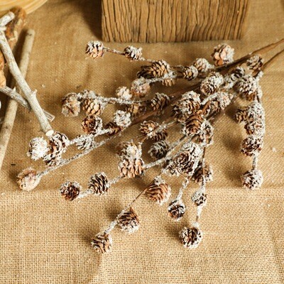 Dried Sprinkle cedar branches