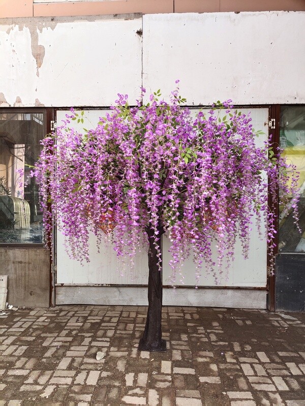 2.5 Meters Wisteria Tree #6