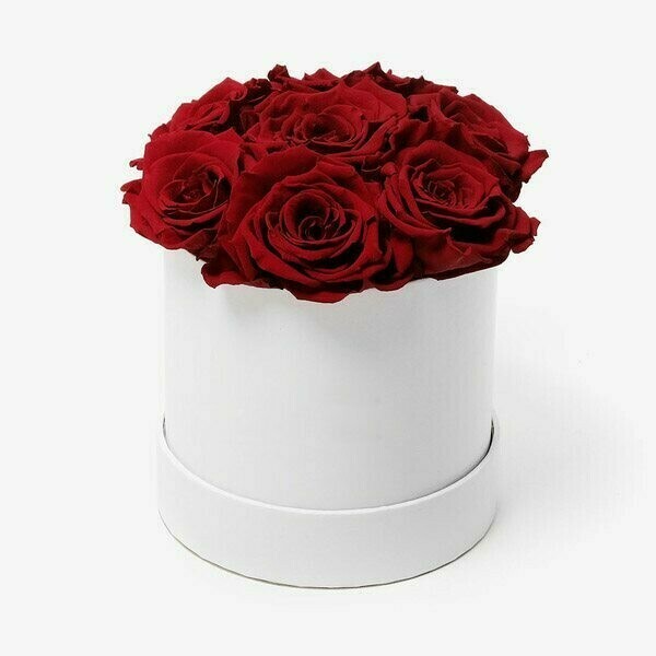 Roses in a box