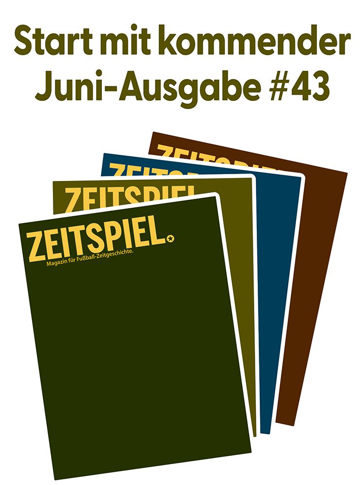 Jahresabo (Ausgaben #43-46)