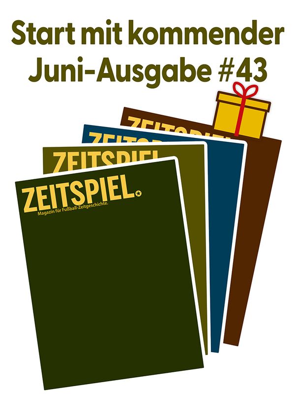 Geschenkabo (Ausgaben #43-46)