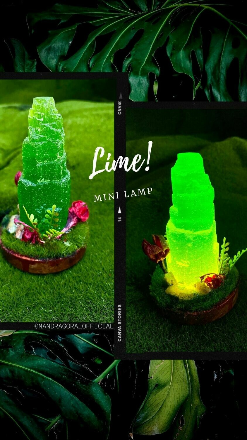 LIME!