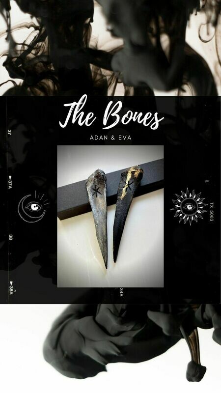 The Bones of Adan &amp; Eva