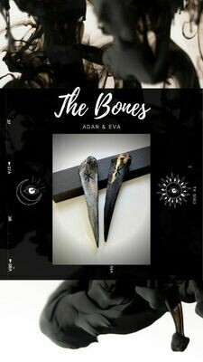 The Bones of Adan &amp; Eva