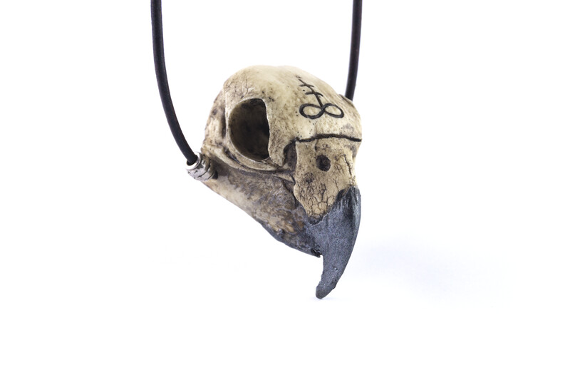 Parrot