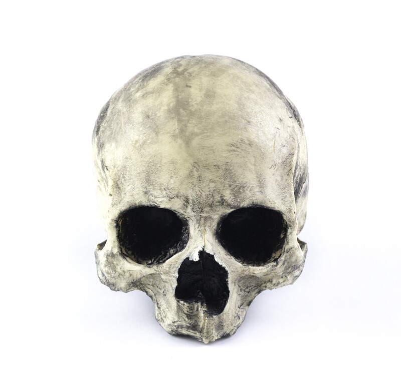 Spell Skull