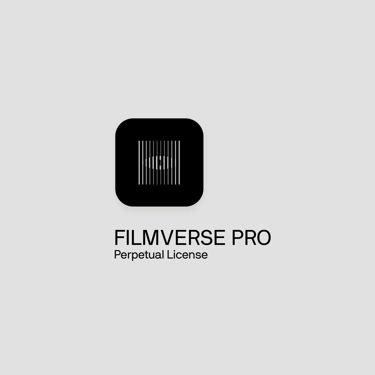 Filmverse Pro Perpetual License