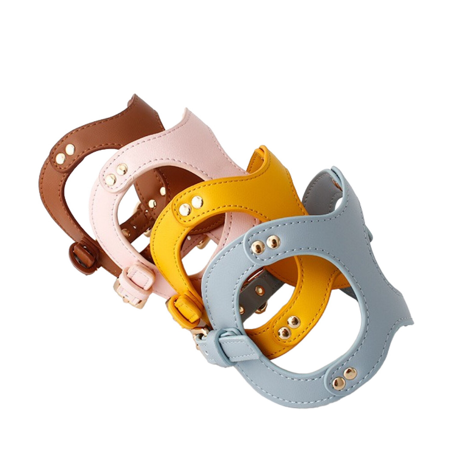 Pettorina, guinzaglio e dispenser