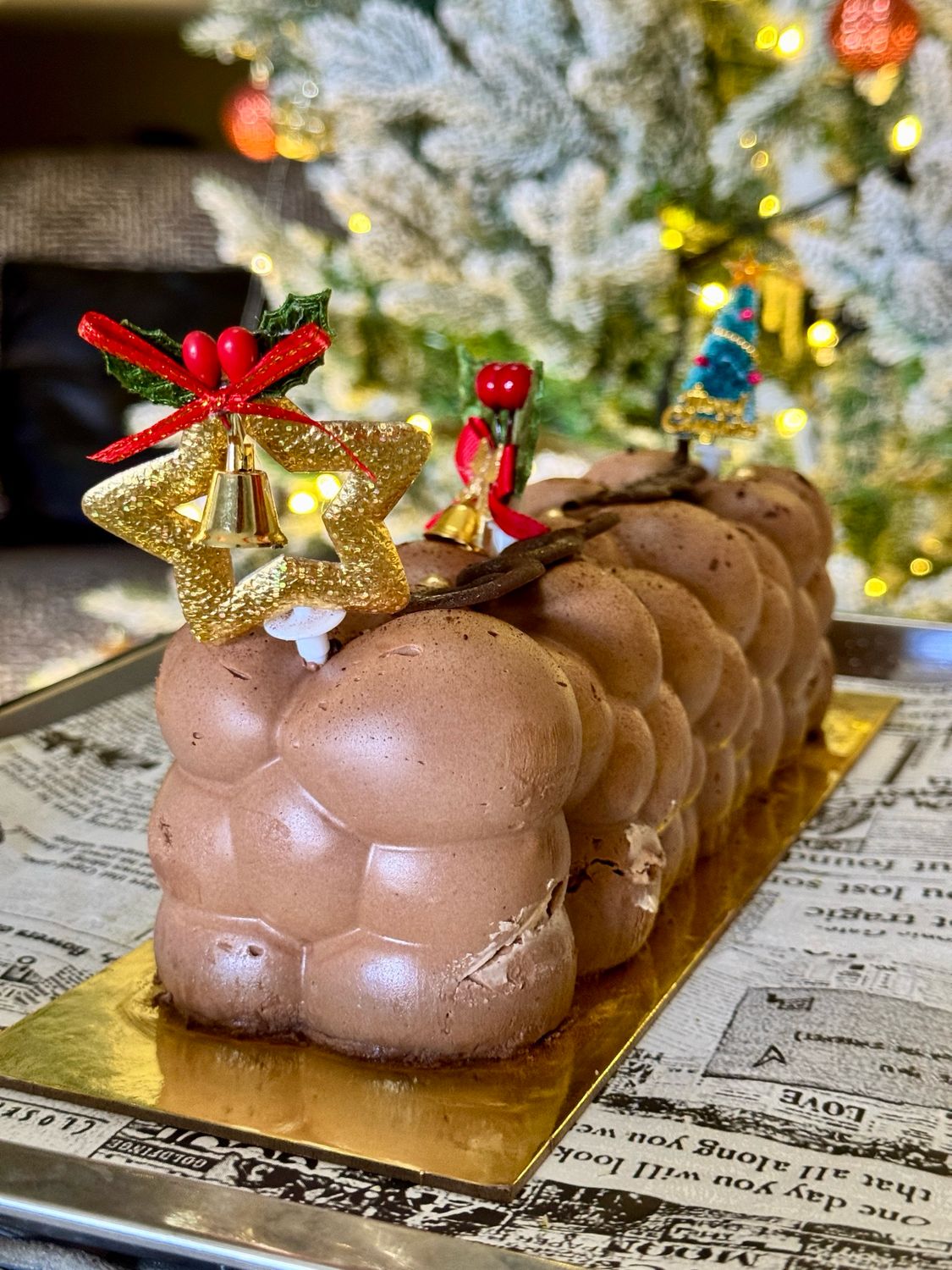 Bûche Chocolat Praliné