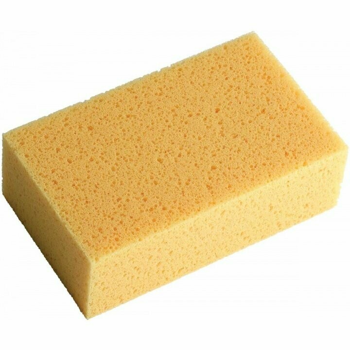 SPONGE