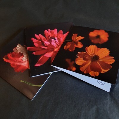 Black Shed Greetings Cards