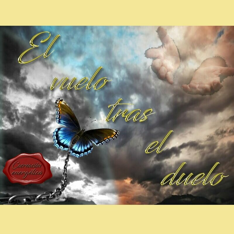 El vuelo tras el duelo