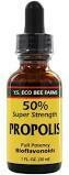 50 Percent Propolis Tincture - 1 Oz