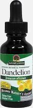 Dandelion Root Alcohol Free Extract
