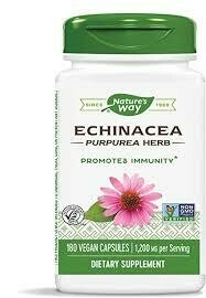Echinacea Herb