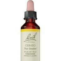 Flower Essence Cerato