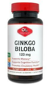 Ginkgo Biloba Extract 120 mg