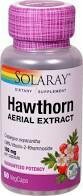Hawthorn