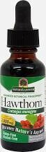 Hawthorn Berries Alcohol Free Extract