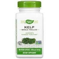 Kelp