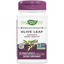 Olive Leaf Standardized Extract