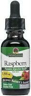 Red Raspberry Leaf Alcohol Free Extract