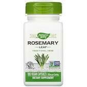 Rosemary Leaves