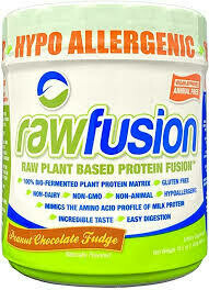 San, RawFusion, Peanut Chocolate Fudge