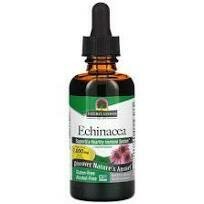 Sweet Echinacea Alcohol-Free