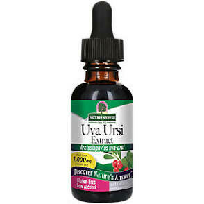 Uva Ursi Extract