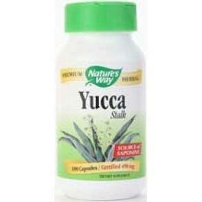 Yucca