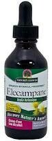 Elecampane Root Extract
