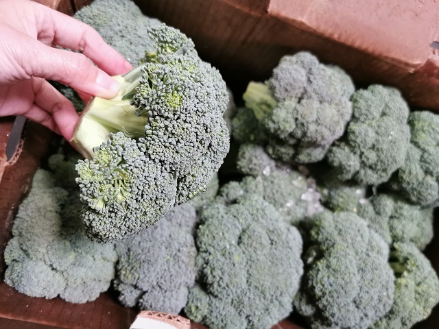 新鲜西兰花2磅