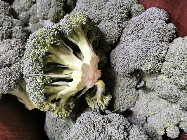 新鲜西兰花2磅
