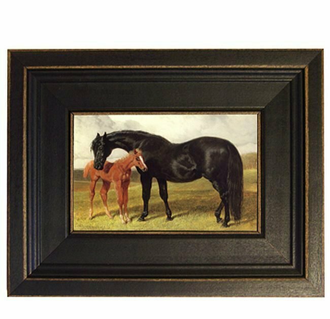 Mare and Foal Framed Print #472MF