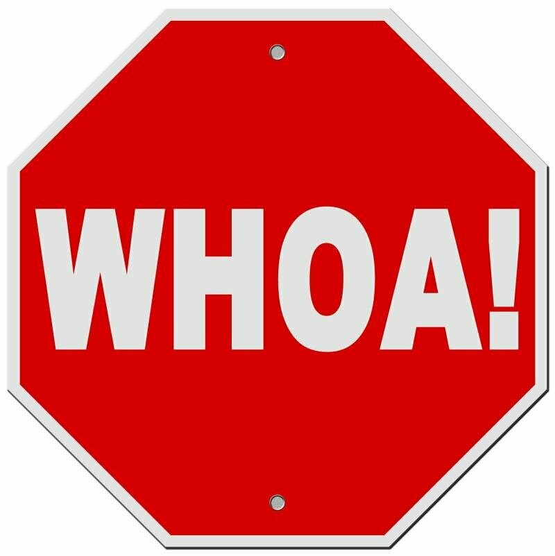 12" Aluminum Whoa Sign  #9080
