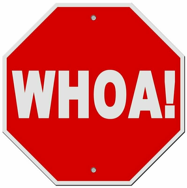 12" Aluminum Whoa Sign  #9080