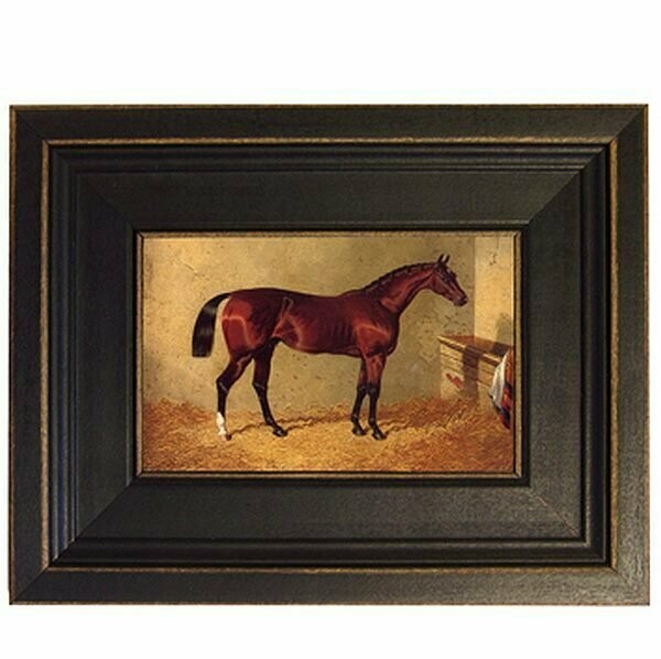 Beautiful Bay in Stall Framed Print #472BA