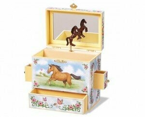 Wild & Free Musical Treasure/Jewelry Box #B1045