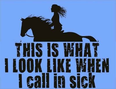 "This is what I look like when I Call In Sick" graphic collection #A932