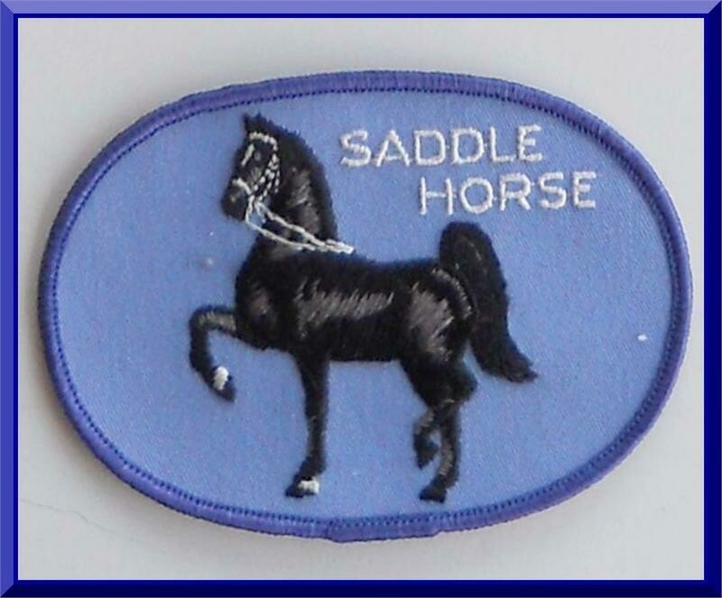 Saddle Horse Patch Embroidered 3-1/4" AP06