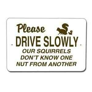 Please Drive Slowly Sign #9015