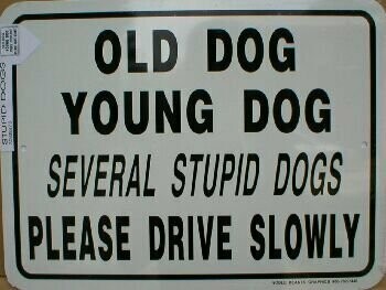 Old Dog - Young Dog-several stupid dogs Aluminum Sign 9" & 12" signs #9140