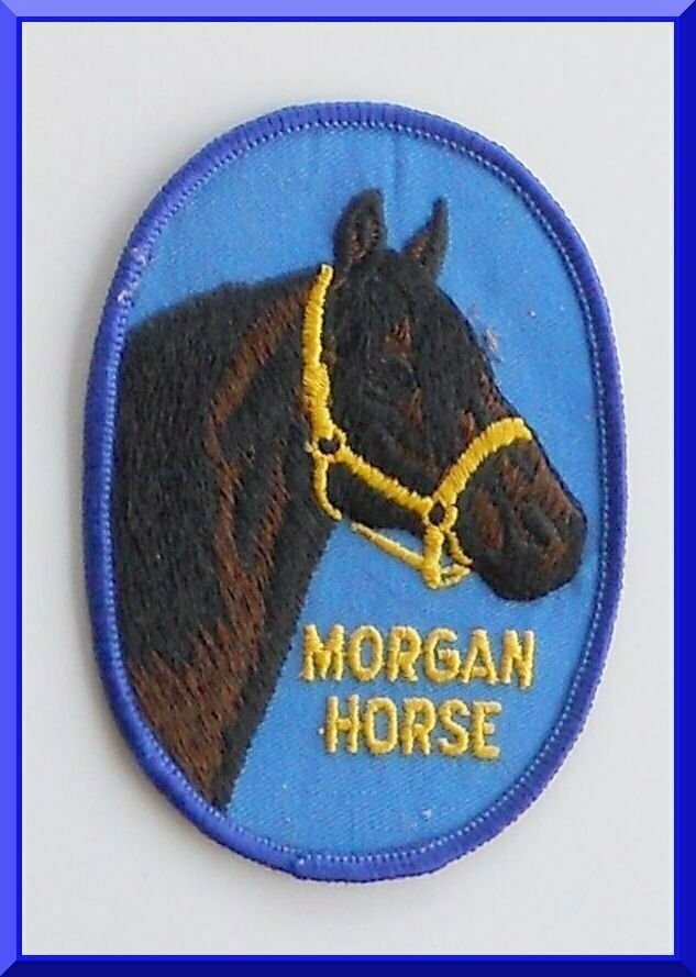 Morgan Horse Patch Embroidered 3-1/4" AP06