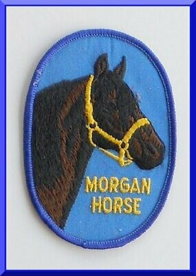 Morgan Horse Patch Embroidered 3-1/4