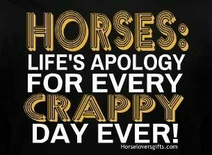 "HORSES-Lifes's Apology for every Crappy Day Ever" #A92C