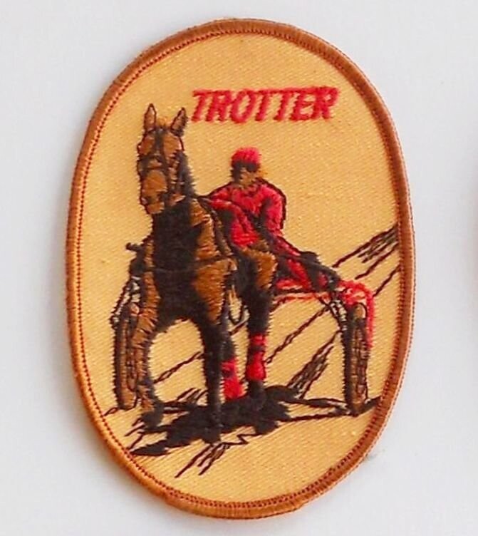 Harness Racer  Patch Embroidered  3-1/2" #AP09