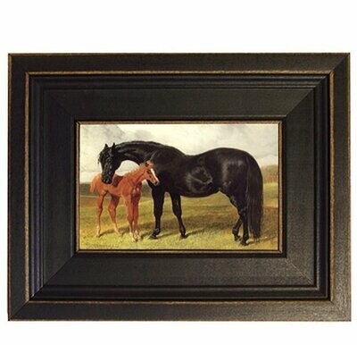 Mare and Foal Framed Print #472MF